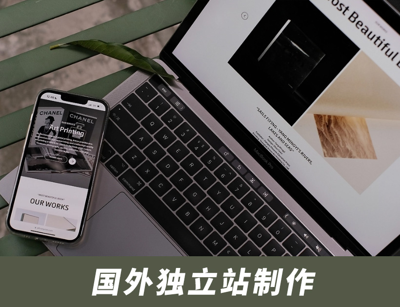 国外独立站多少钱